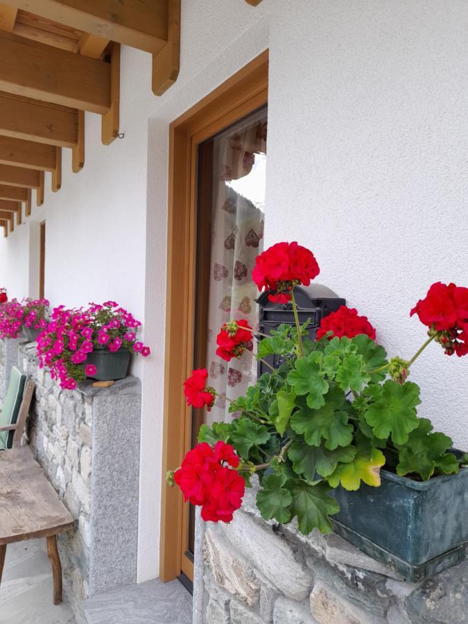 Chalet Gaspard Valtournenche Dış mekan fotoğraf